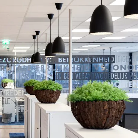 DALI Lichtoplossing Kantoor